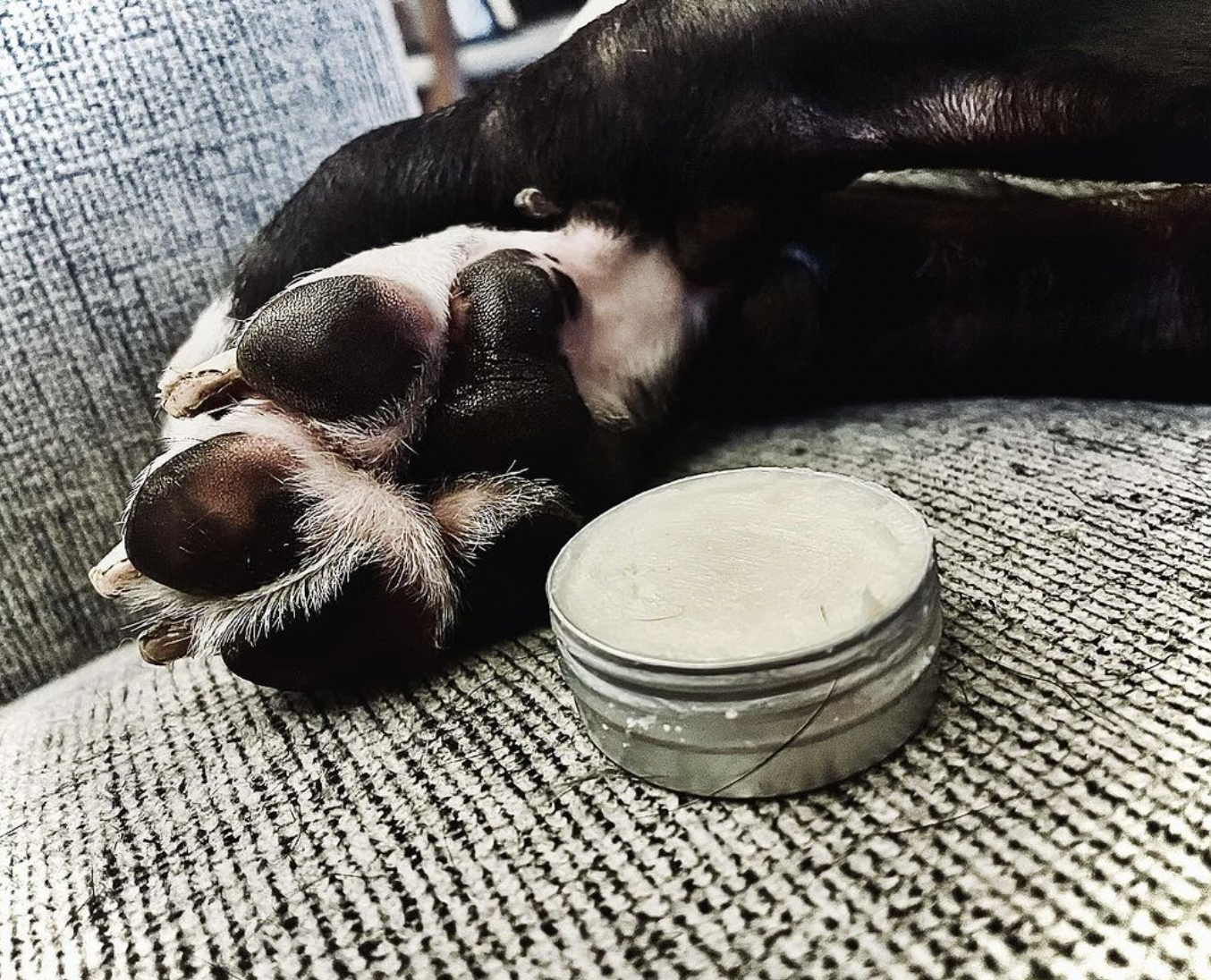 Paw Butter