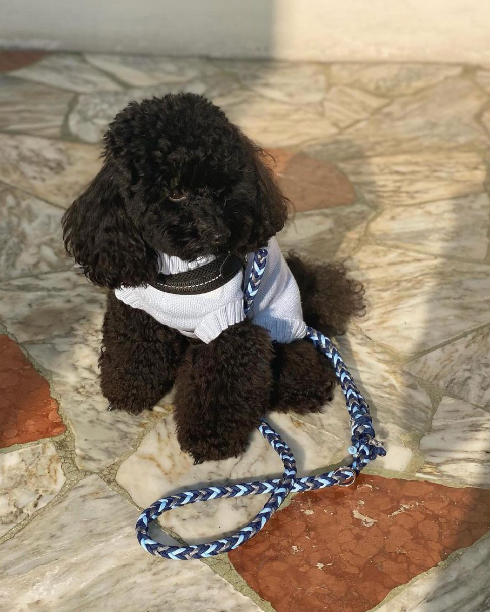Custom Paracord Leash