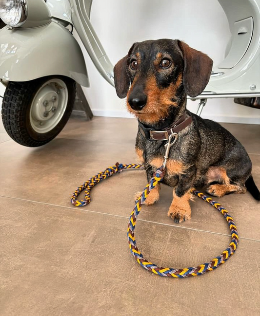 Custom Paracord Leash