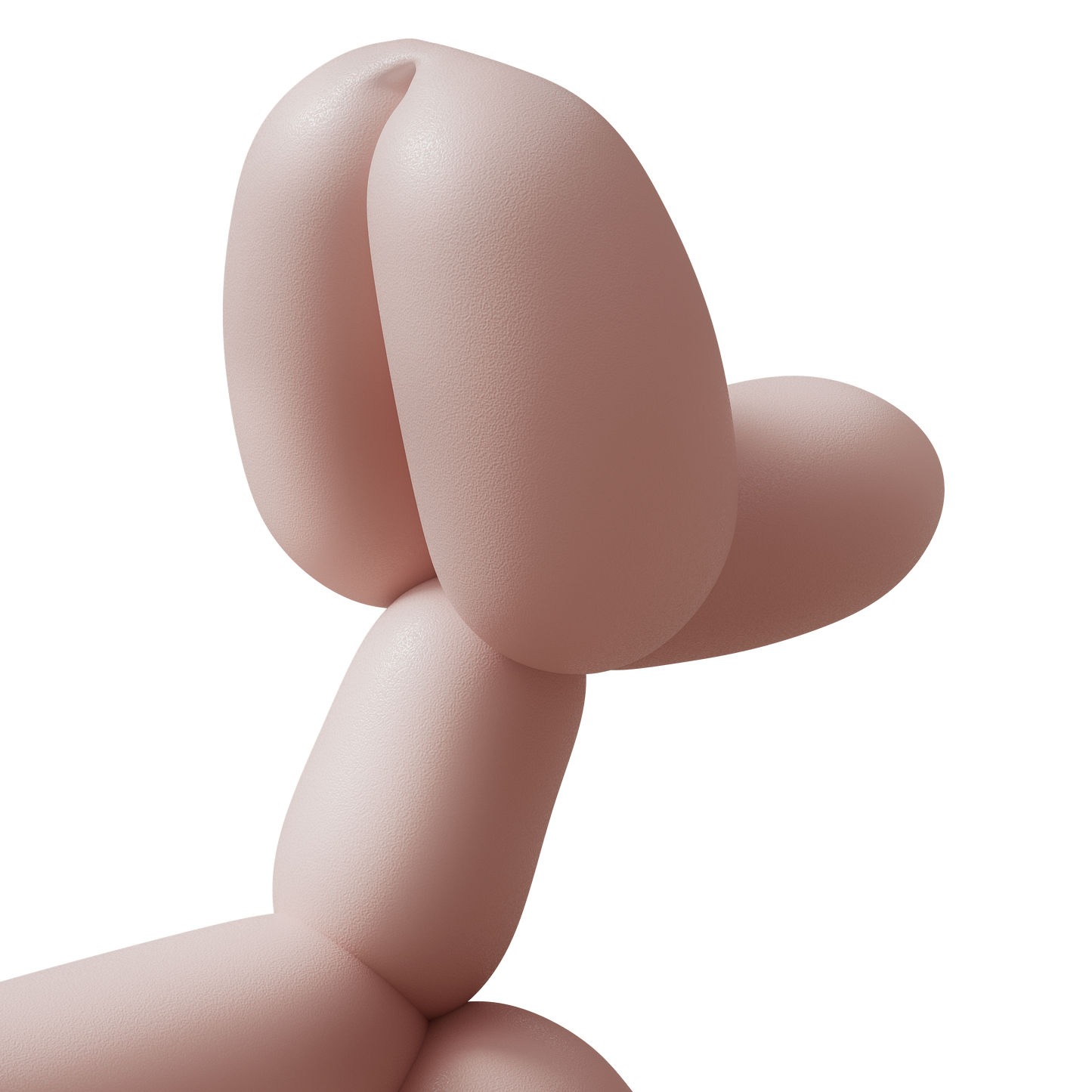 Balloon Dog