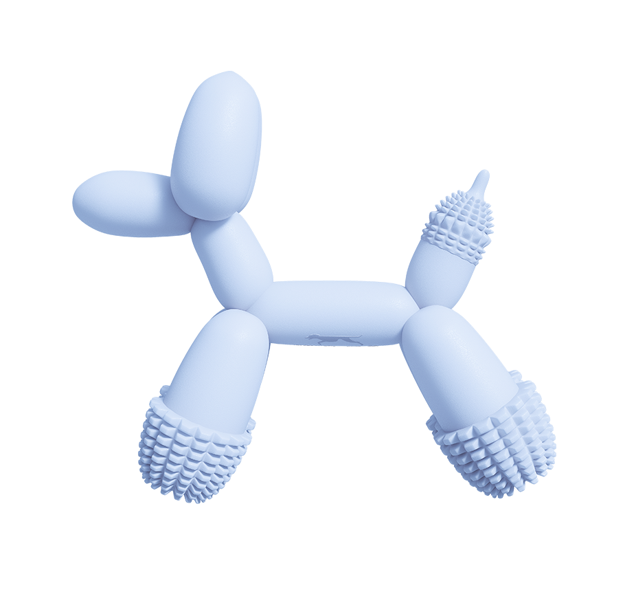 Balloon Dog