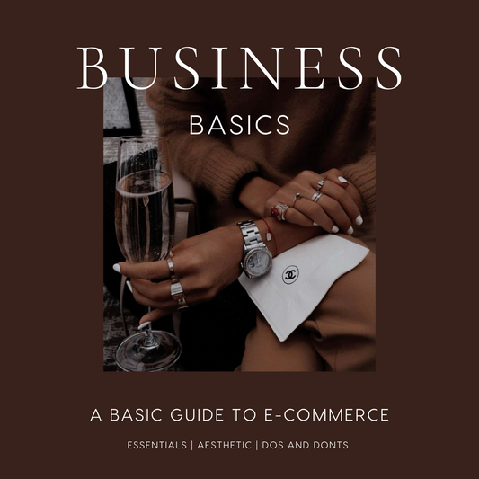 BUSINESS BASICS GUIDE E-BOOK