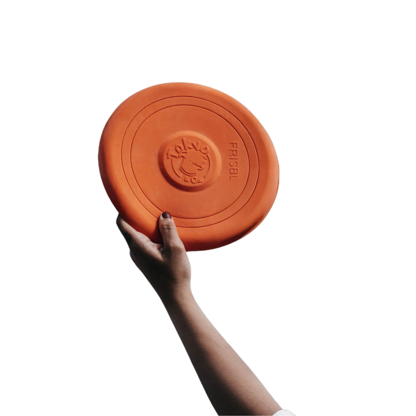 Tokyo Frisbee